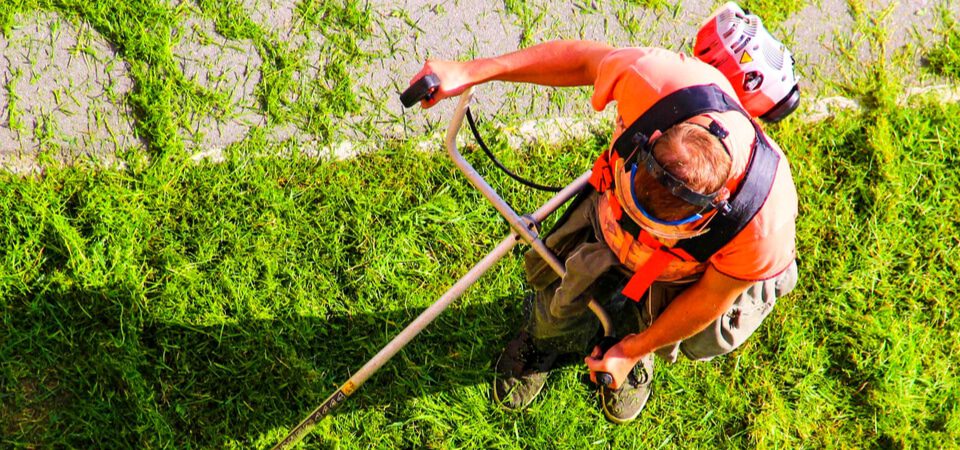 Kevytyrittäjyys alaikäisenä on mahdollista! 16-vuotias Rene ja 17-vuotias Jon tekevät tiliä kevytyrittäjinä