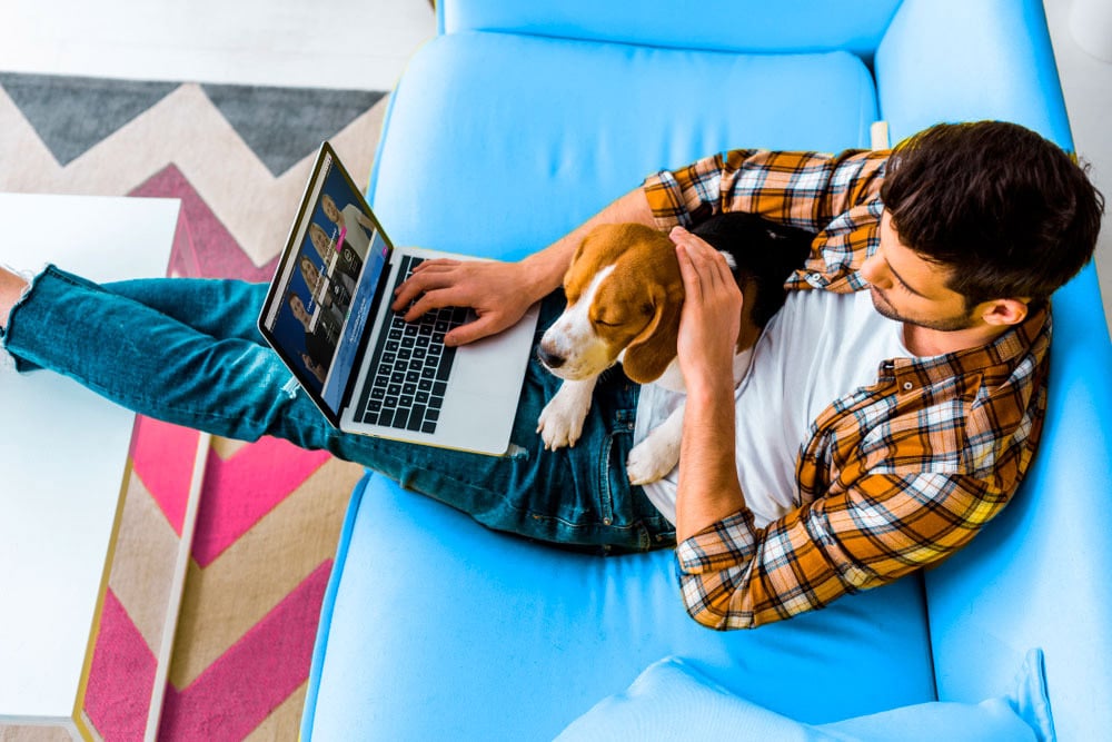 freelancer kevytyrittaja mies sohvalla koiran kanssa