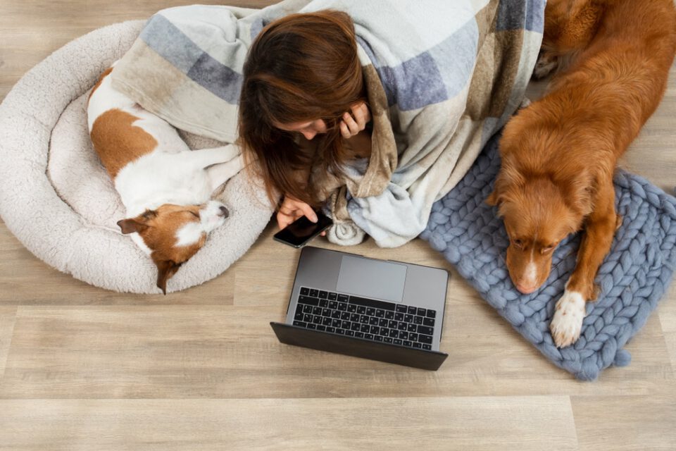 Kevytyrittäjän sairausvakuutusmaksu muuttuu