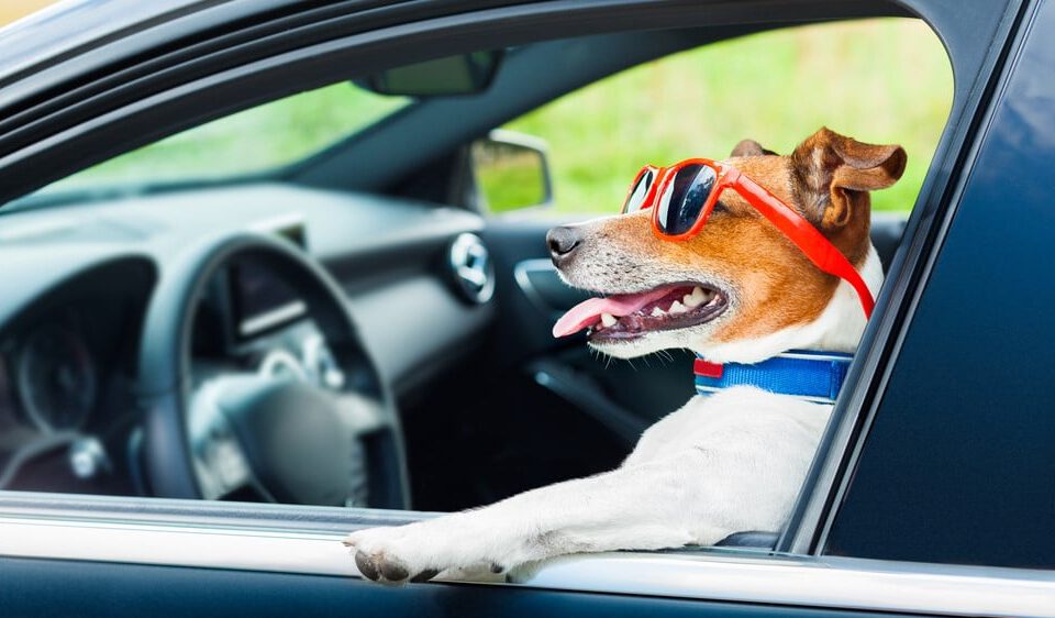 Kilometrikorvaus: Mikä on kilometrikorvaus 2026?