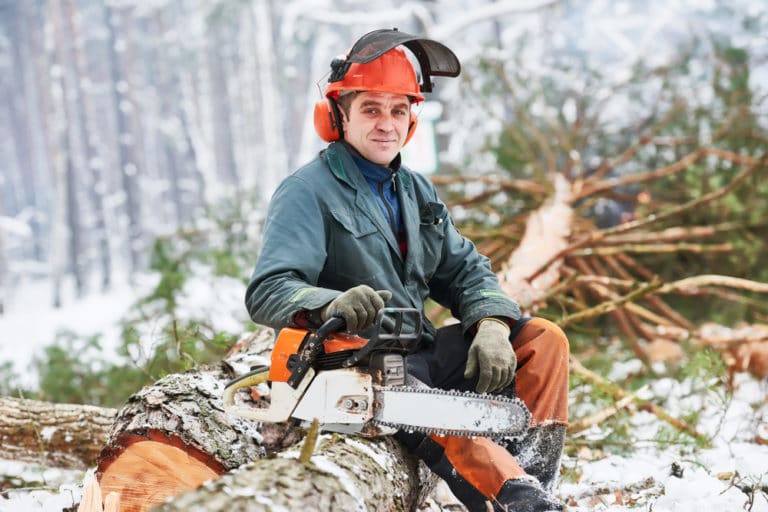 Metsurin työ kevytyrittäjänä