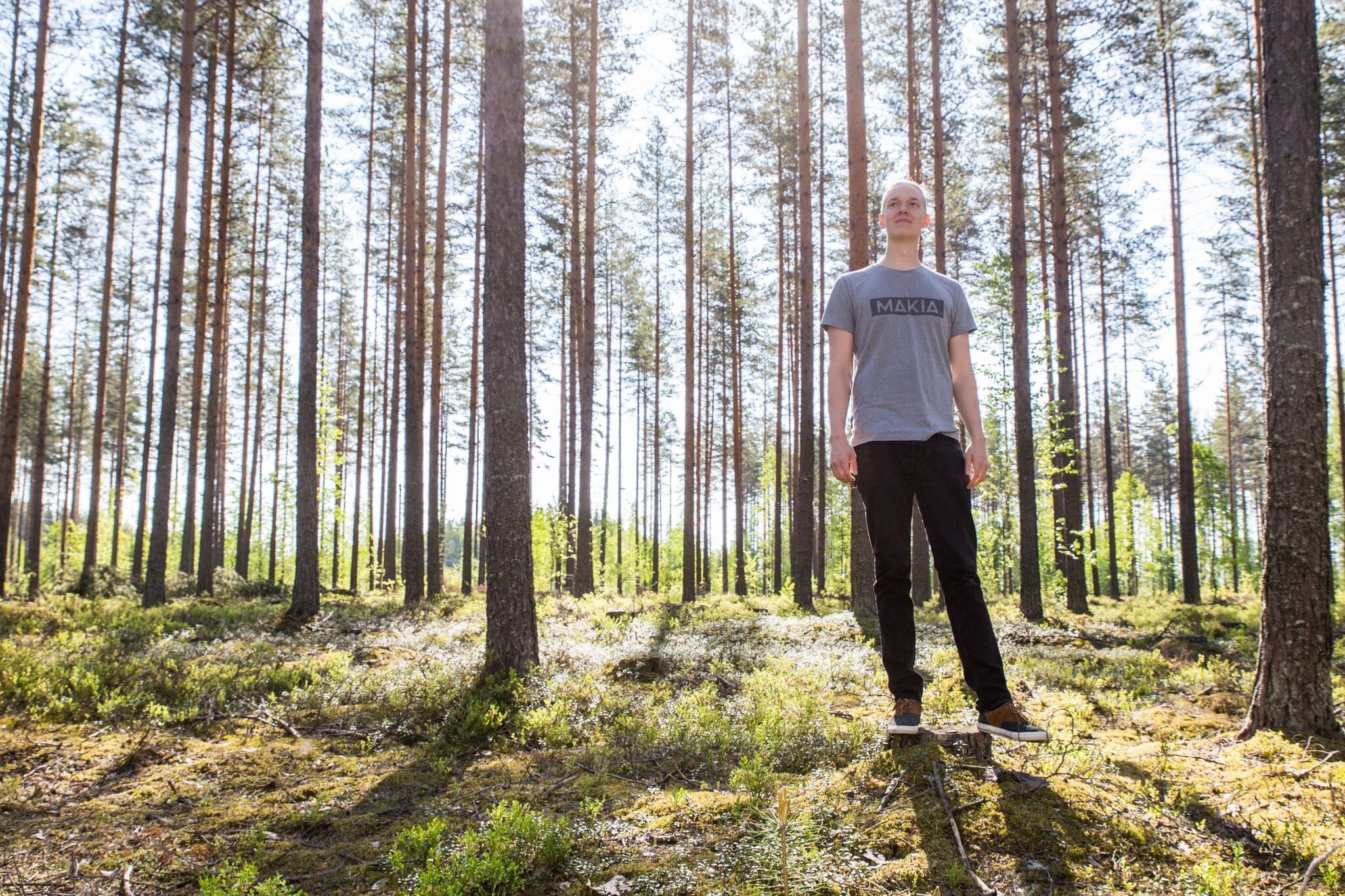 Miikka-Kotilainen-metsan-keskella