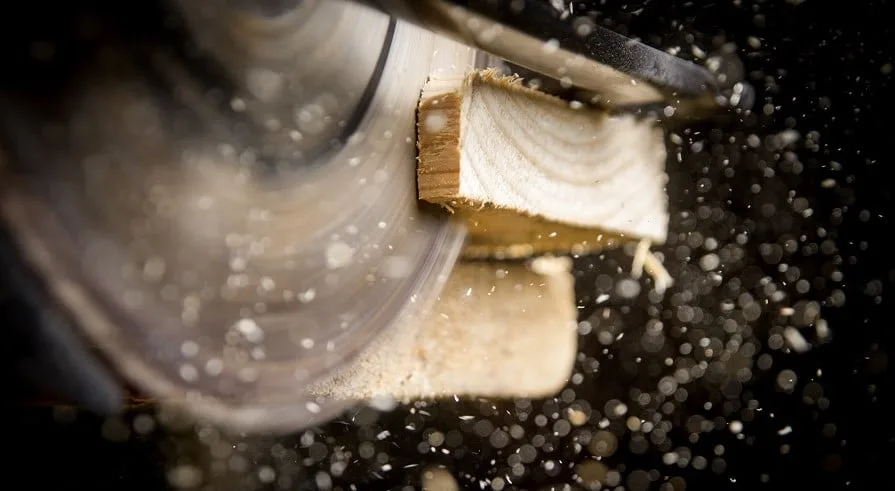 Puuta sahaava sirkkeli